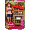 Barbie FXP15 Кукла Mattel Barbie «Кем быть» FXP15 Набор Барби «Фермер птицефабрики»
