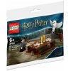 Набор лего - Конструктор LEGO Harry Potter 30420 Harry Potter and Hedwig