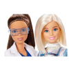 Набор Barbie Барби и друзья, FCP64