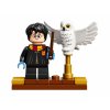 75979 Конструктор LEGO Harry Potter 75979 Букля