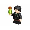 76386 Конструктор LEGO Harry Potter 76386 Хогвартс Ошибка с оборотным зельем