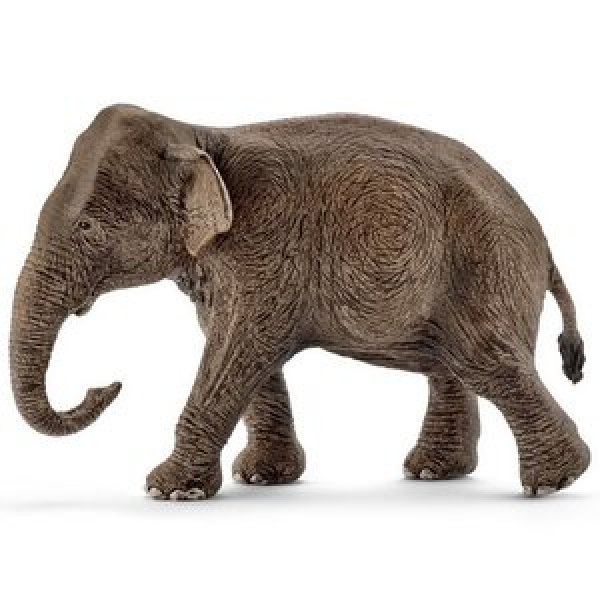 14753 Фигурка Schleich 14753 Азиатский слон - самка 13 см