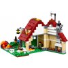31038 Конструктор LEGO Creator Времена года