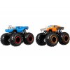 Набор из 2 машинок-внедорожников серии "Monster Trucks" Hot Wheels 1:64 FYJ64